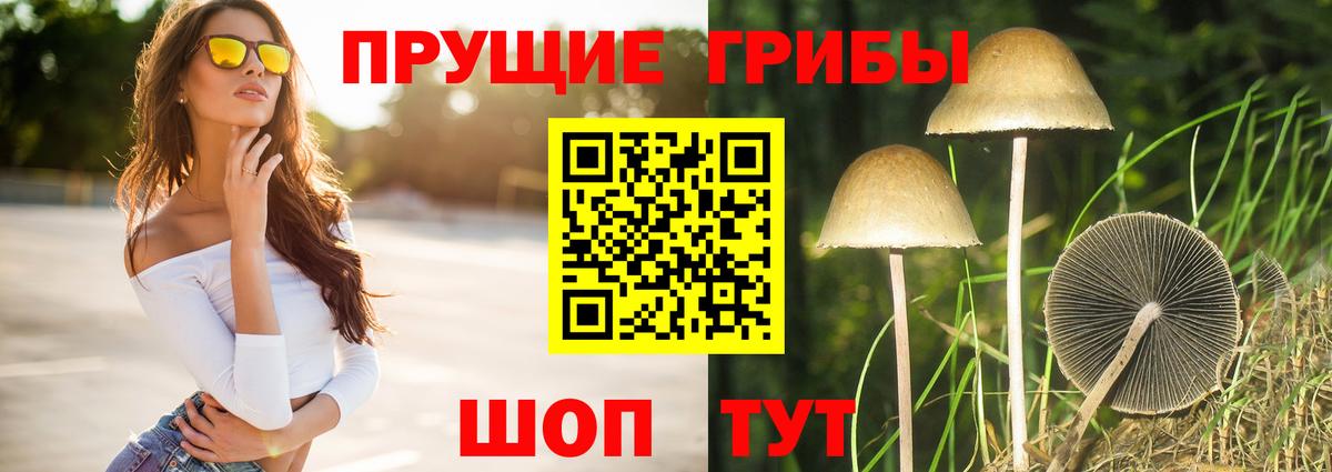 Сафоново  как найти наркотики  Вход с VPN  Галлюциногенные грибы MAGIC MUSHROOMS 