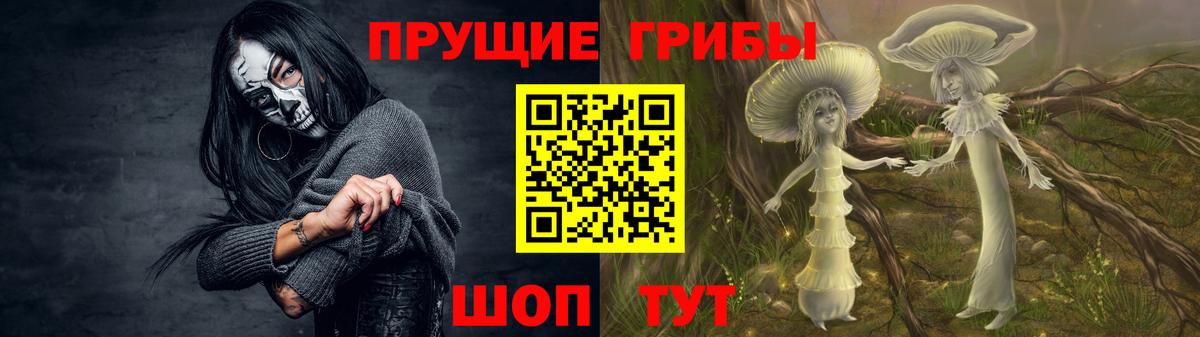 Псилоцибиновые грибы мицелий Сафоново